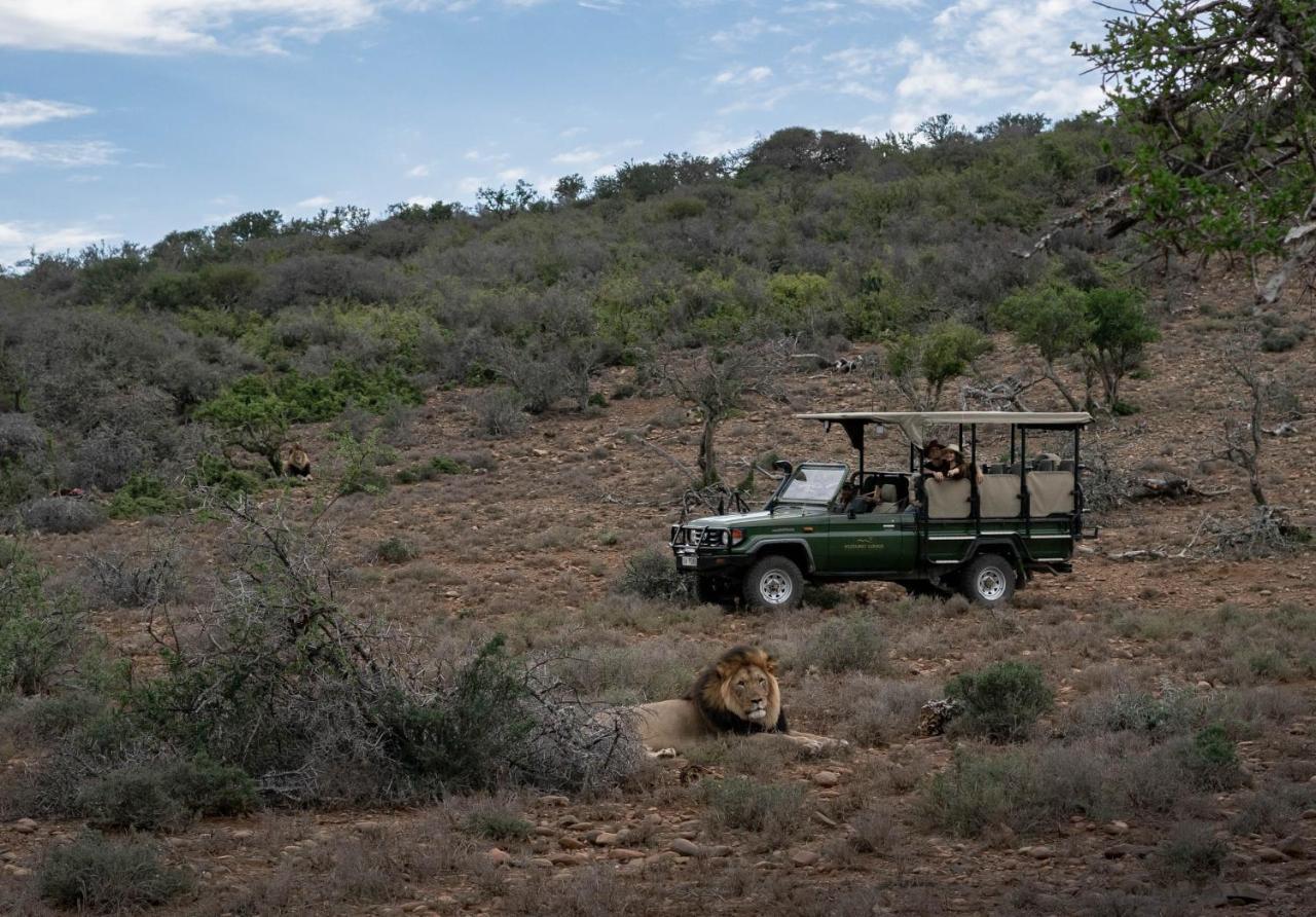 Kuzuko Lodge Addo Esterno foto