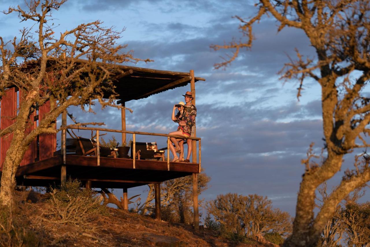 Kuzuko Lodge Addo Esterno foto
